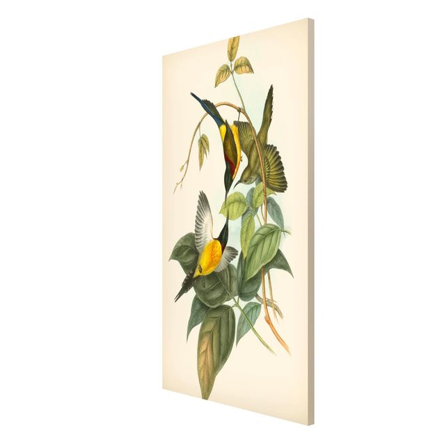 Wandbilder Floral Vintage Illustration Tropische Vögel IV