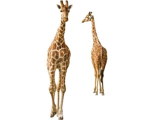 Fenstersticker Tiere Zwei Giraffen