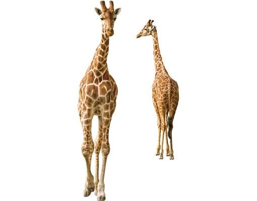 Wandtattoo Giraffe No.315 Zwei Giraffen