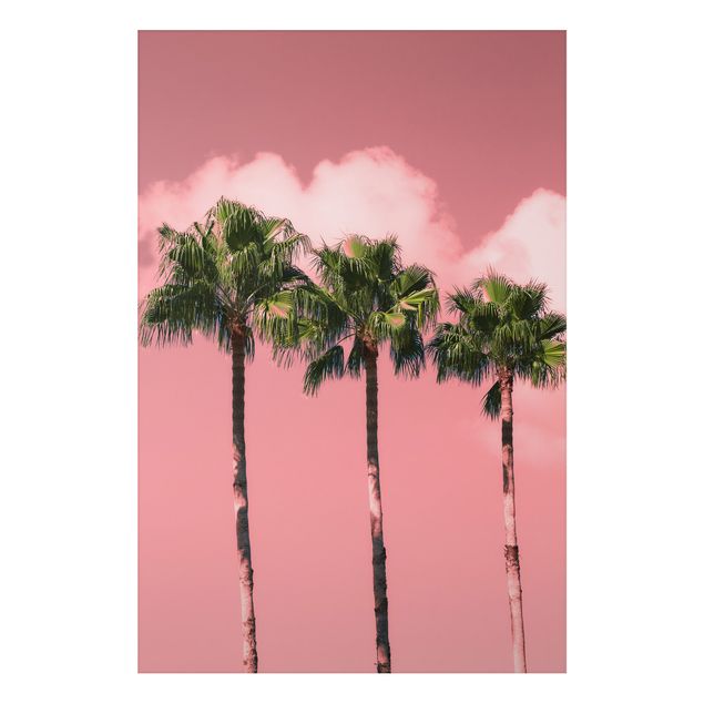 Wandbilder Landschaften Palmen vor Himmel Rosa