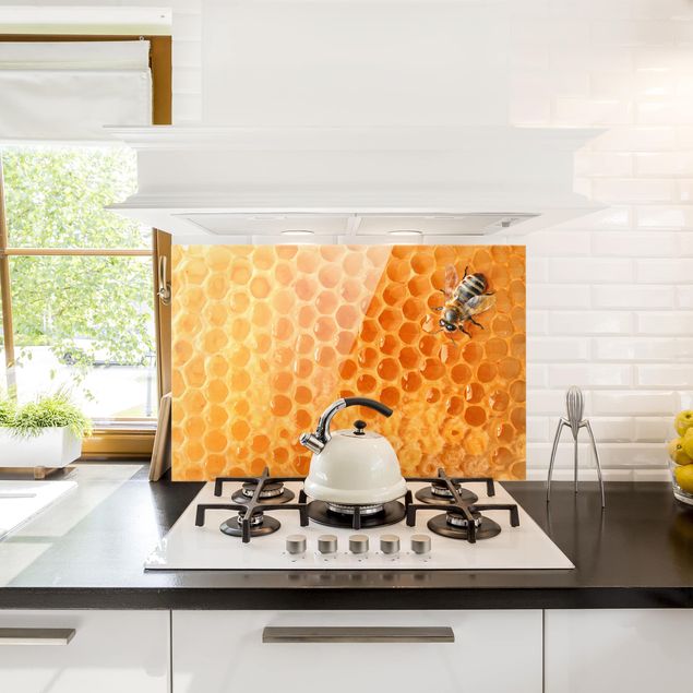 Glasrückwand Küche Honey Bee