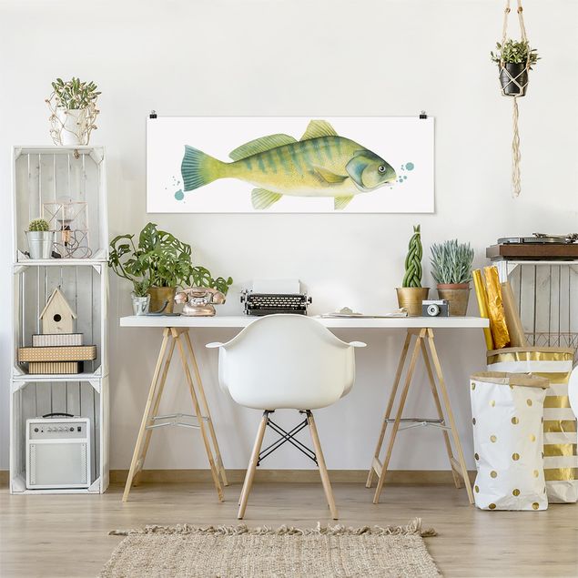 Wandbilder Fische Farbfang - Flussbarsch
