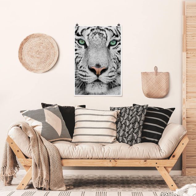 schwarz-weiß Poster Weißer Tiger