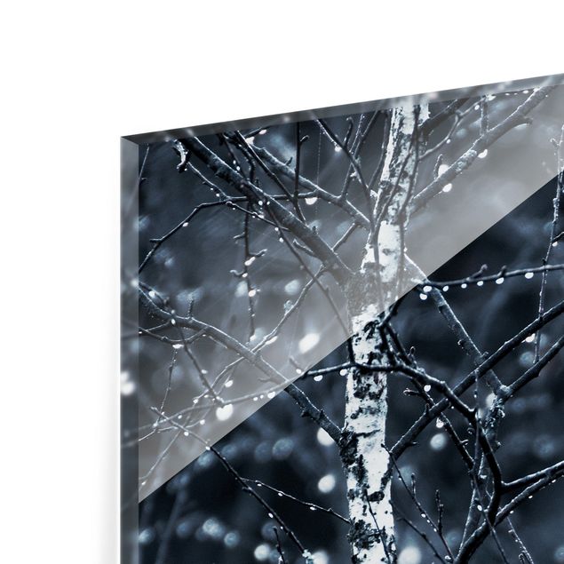 Spritzschutz Glas - Dunkle Birke im kalten Regen - Quadrat 1:1