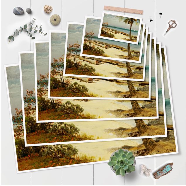Poster Meer Albert Bierstadt - Küste in den Tropen