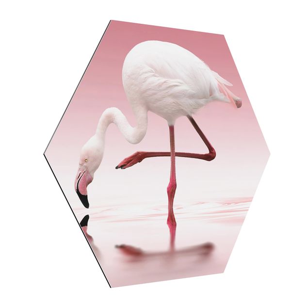 Wandbilder Modern Flamingo Dance