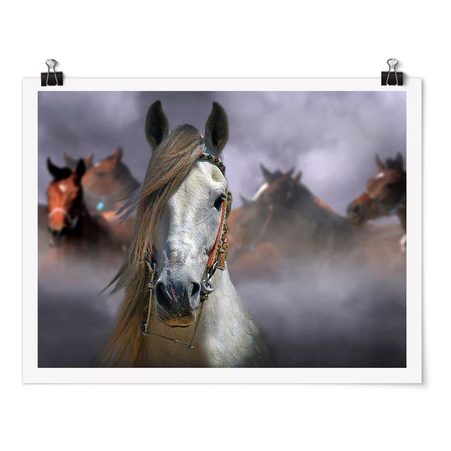 Wandbilder Modern Horses in the Dust