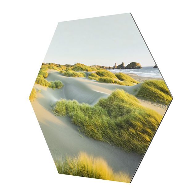 Wandbilder Floral Dünen und Gräser am Meer
