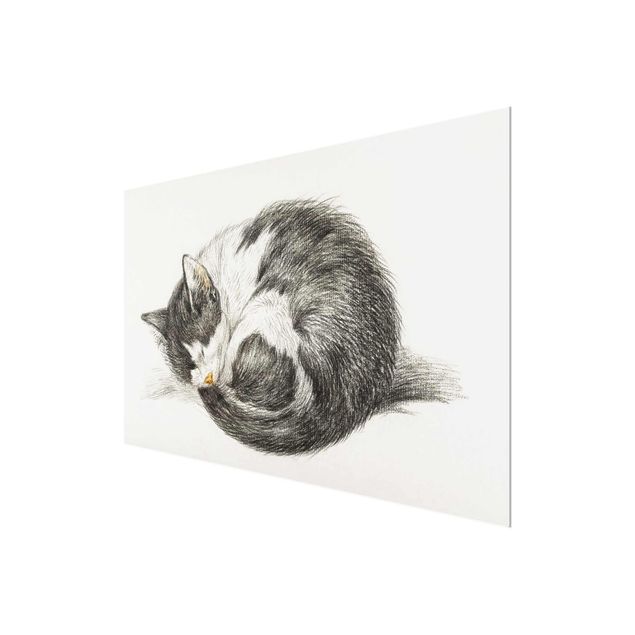 Wandbilder Schwarz-Weiß Vintage Zeichnung Katze II