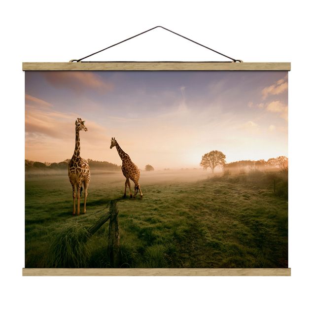 Wandbilder Natur Surreal Giraffes
