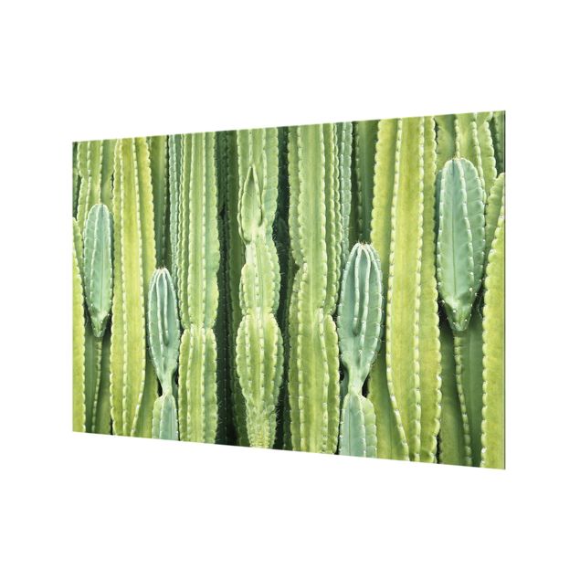 Spritzschutz Glas - Kaktus Wand - Querformat - 3:2
