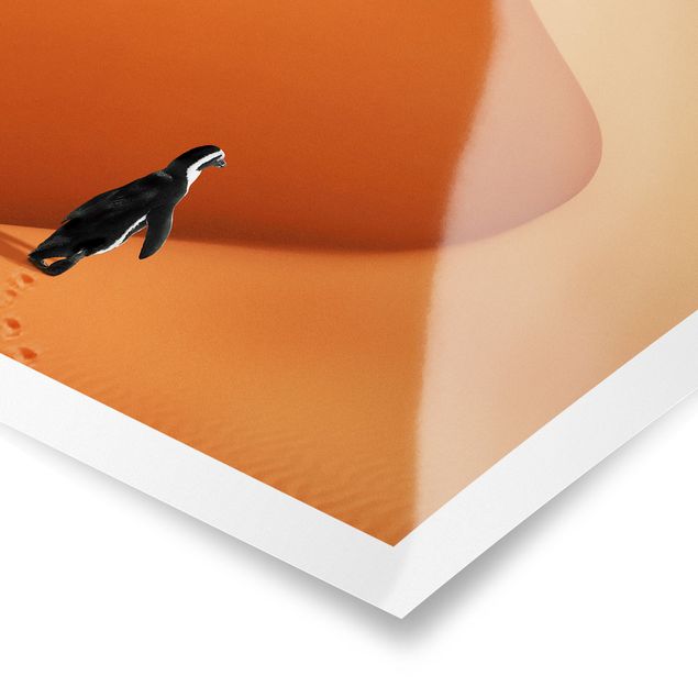 Wandbilder Orange Wüste mit Pinguin