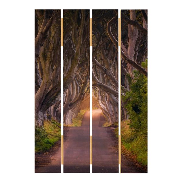 Holzbilder Tunnel aus Bäumen