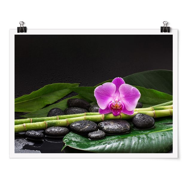 Kunstkopie Poster Grüner Bambus mit Orchideenblüte