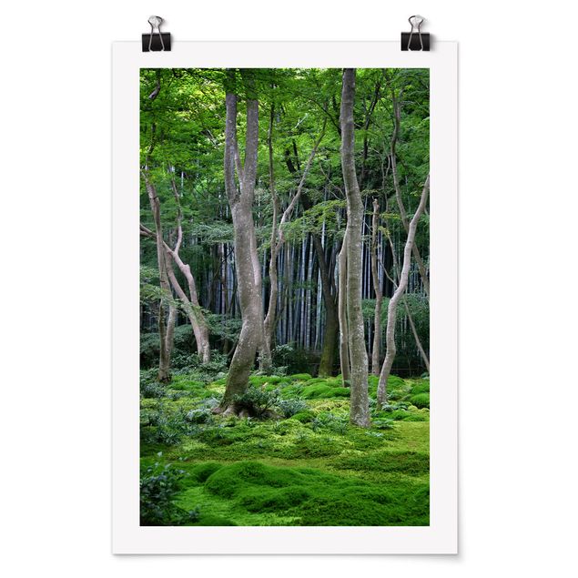 Poster Naturbilder Japanischer Wald