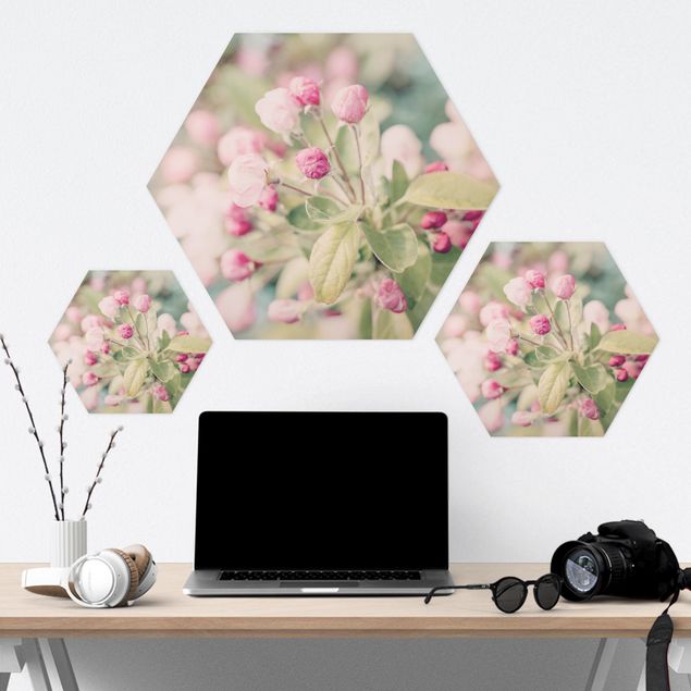 Hexagon Bilder Apfelblüte Bokeh rosa