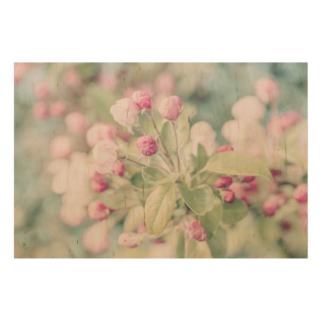 Holzbilder Blumen Apfelblüte Bokeh rosa