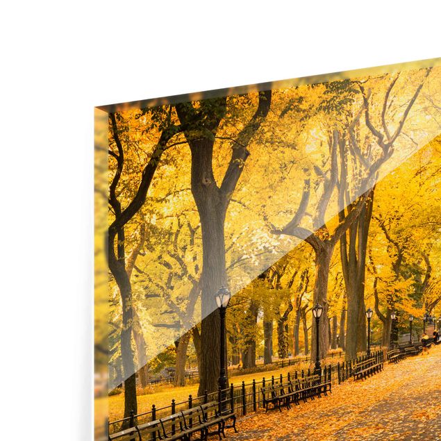 Spritzschutz Glas - Herbst im Central Park - Querformat 3:2