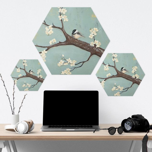 Hexagon Bild Alu-Dibond - Meise auf Kirschbaum