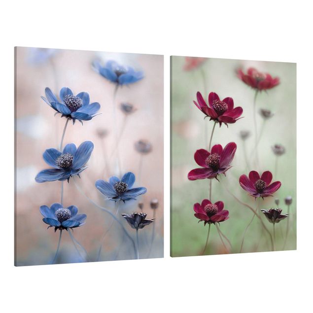 Wandbilder Blumen Kosmeen Mix