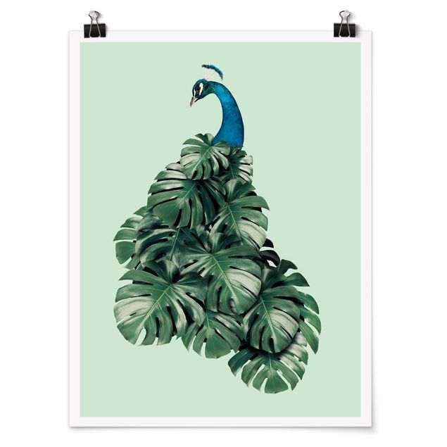 Kunstkopie Poster Pfau mit Monstera Blättern