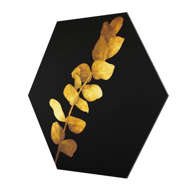 Bilder Hexagon Gold - Eukalyptus auf Schwarz