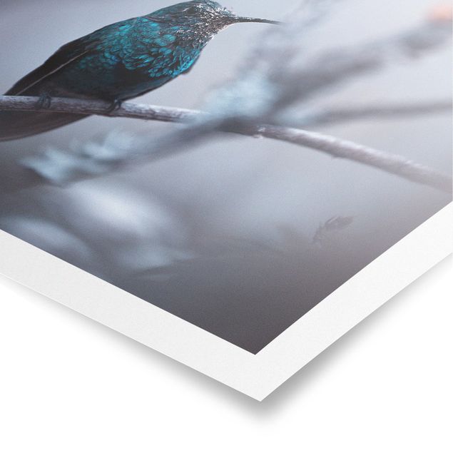 Wandbilder Modern Kolibri im Winter