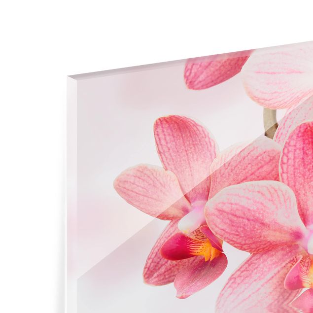 Spritzschutz Glas - Rosa Orchideen auf Wasser - Querformat - 3:2