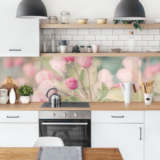 Glasrückwand Küche Apfelblüte Bokeh rosa