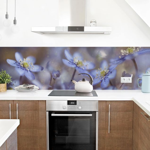 Spritzschutz Küche Glas Anemonen in Blau