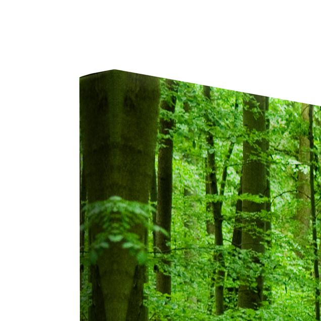 Wandbilder Grün Romantischer Waldweg
