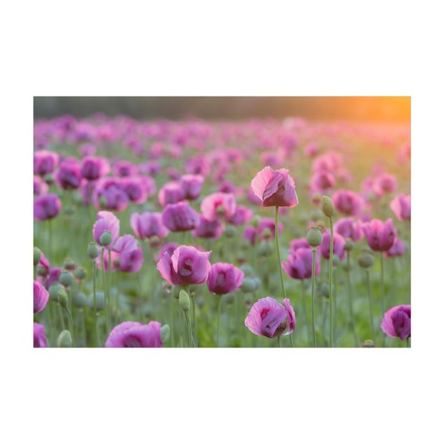 Teppich Blumen Violette Schlafmohn Blumenwiese im Frühling