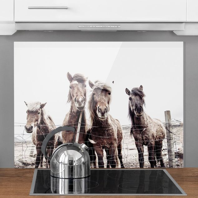 Küche Dekoration Island Pferde