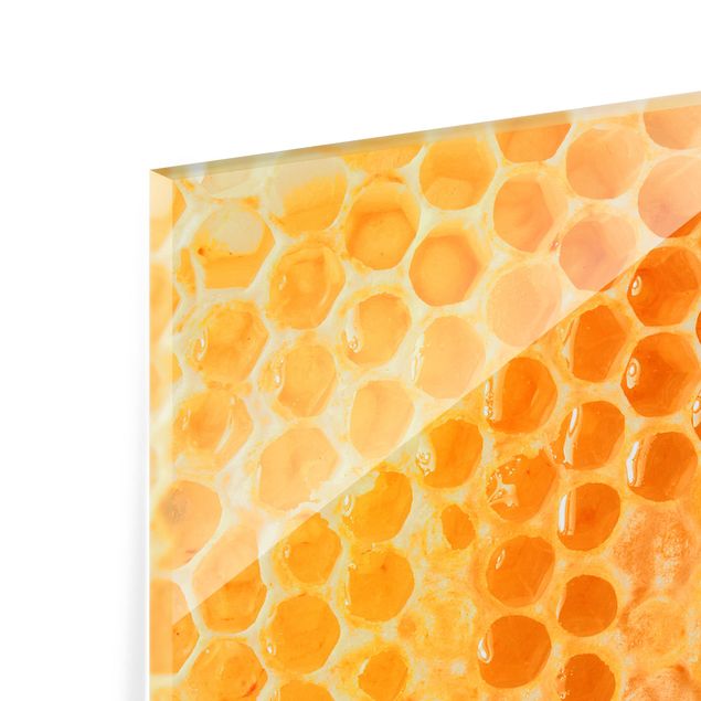 Spritzschutz Glas - Honey Bee - Querformat - 3:2