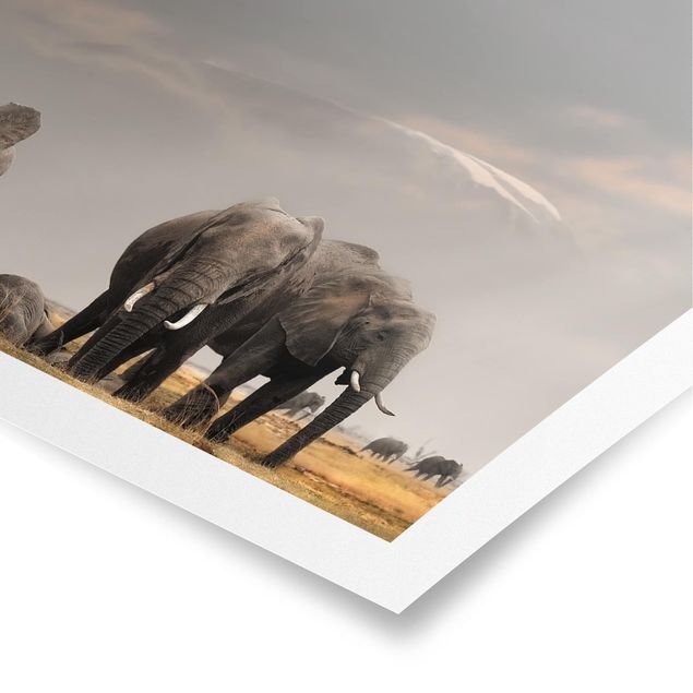 Poster Natur Elefanten der Savanne