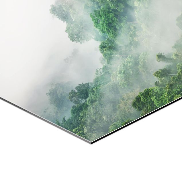 Wandbilder Natur Dschungel im Nebel