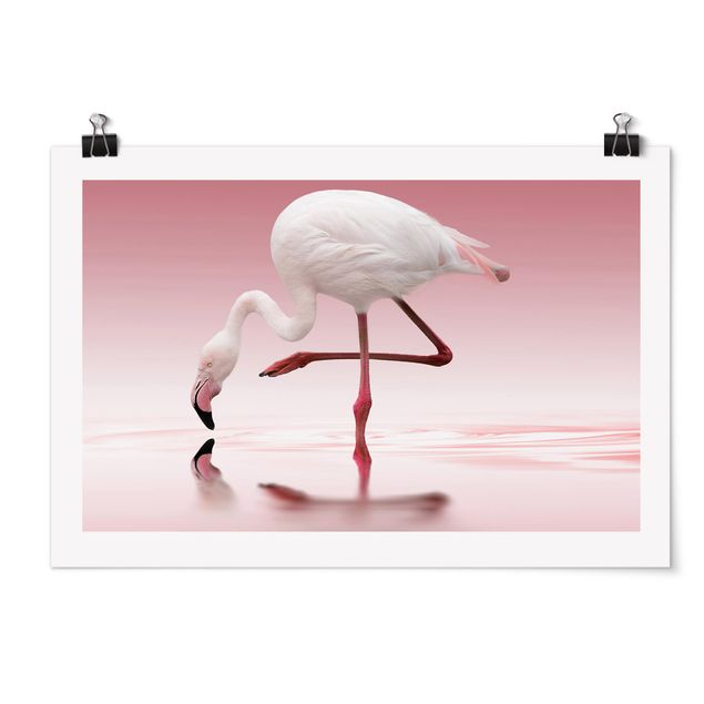 Wandbilder Afrika Flamingo Dance