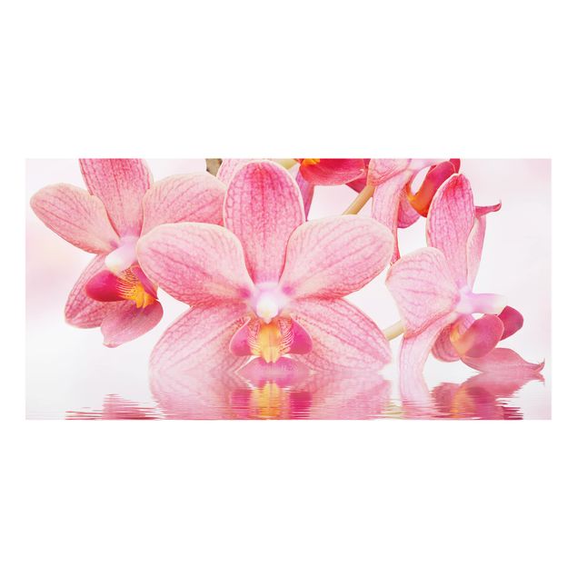 Spritzschutz Glas - Rosa Orchideen auf Wasser - Querformat - 2:1