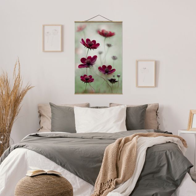 Wandbilder Blumen Pinke Kosmeen