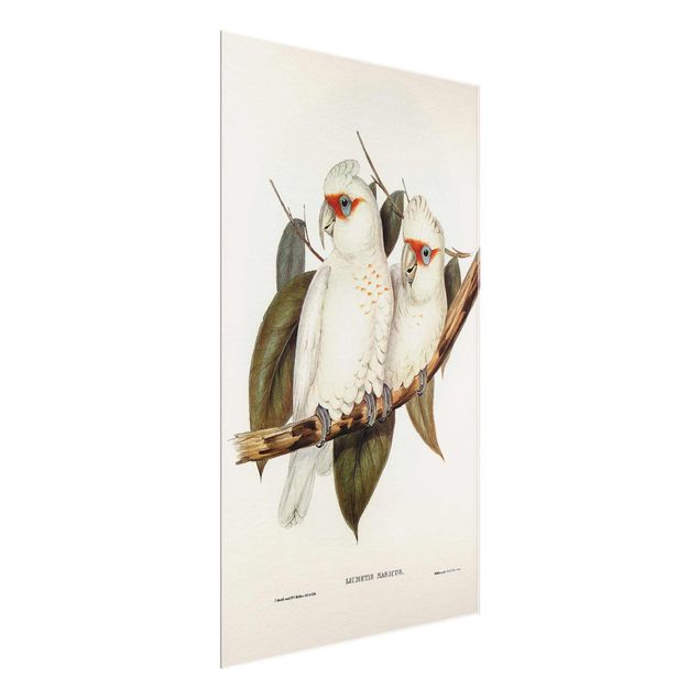 Wandbilder Blumen Vintage Illustration Weißer Kakadu