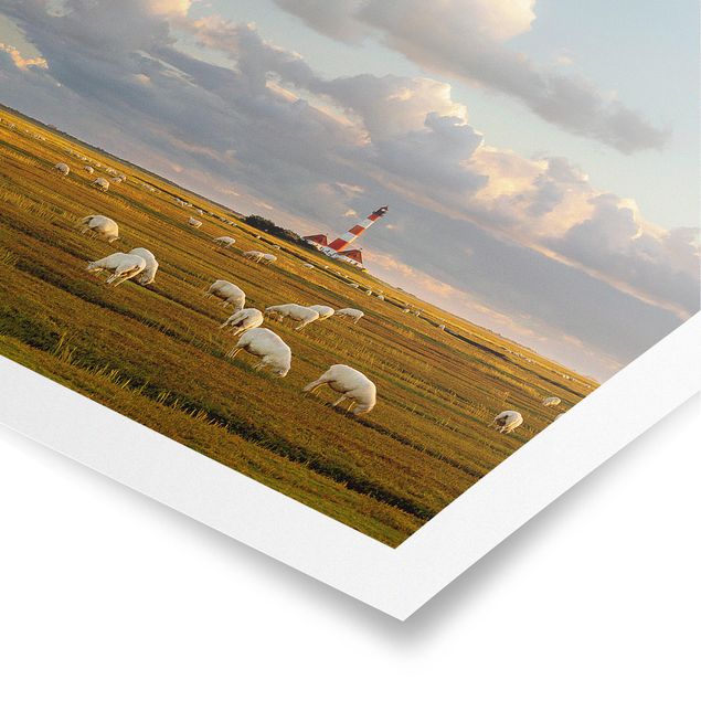 Poster Meer Nordsee Leuchtturm mit Schafsherde