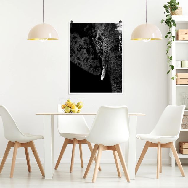 Poster schwarz-weiß Afrikanischer Elefant schwarz-weiß