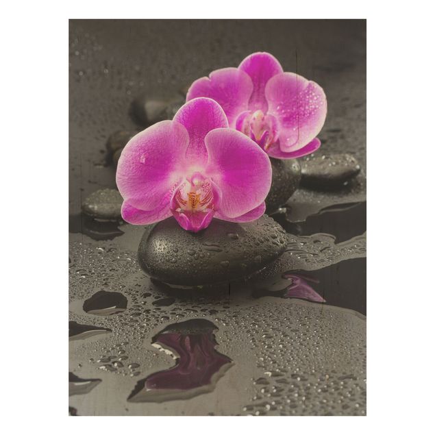 Holzbild Blumen Pinke Orchideenblüten auf Steinen mit Tropfen