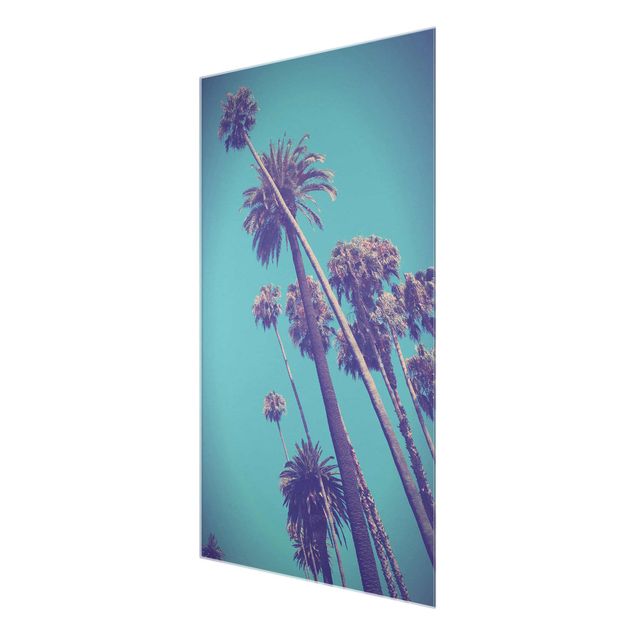 Wandbilder Blumen Tropische Pflanzen Palmen und Himmel