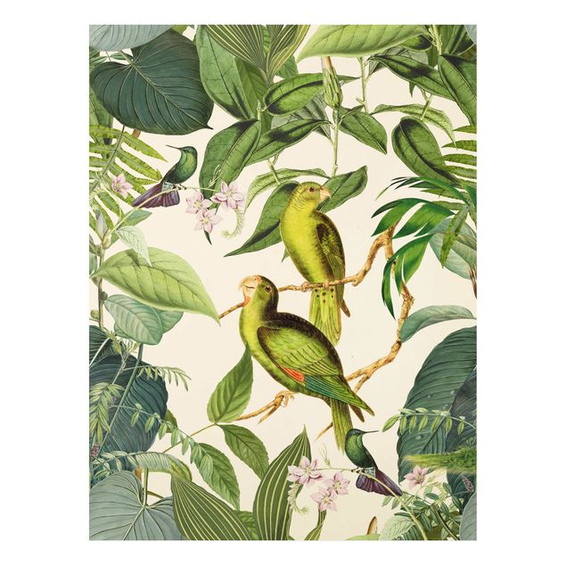 Wandbilder Dschungel Vintage Collage - Papageien im Dschungel