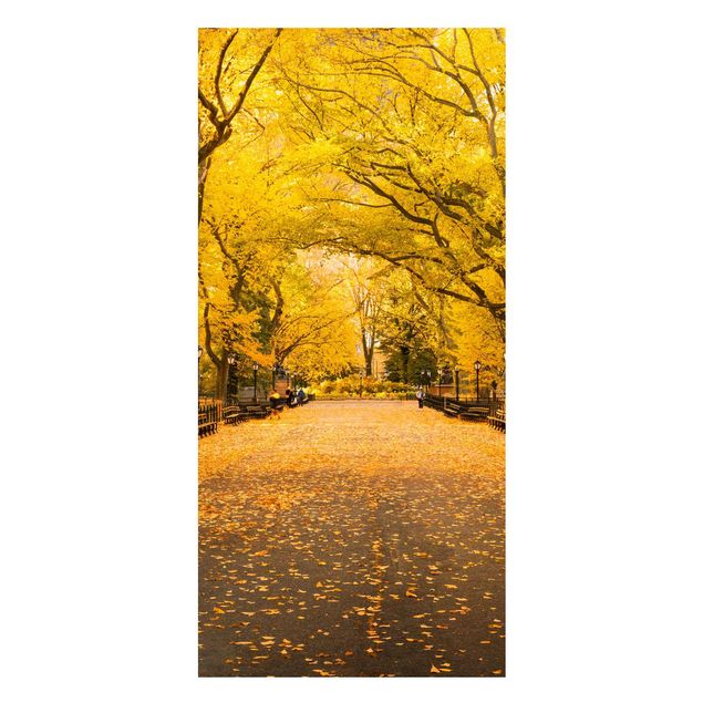 Magnettafel - Herbst im Central Park - Panorama Hochformat