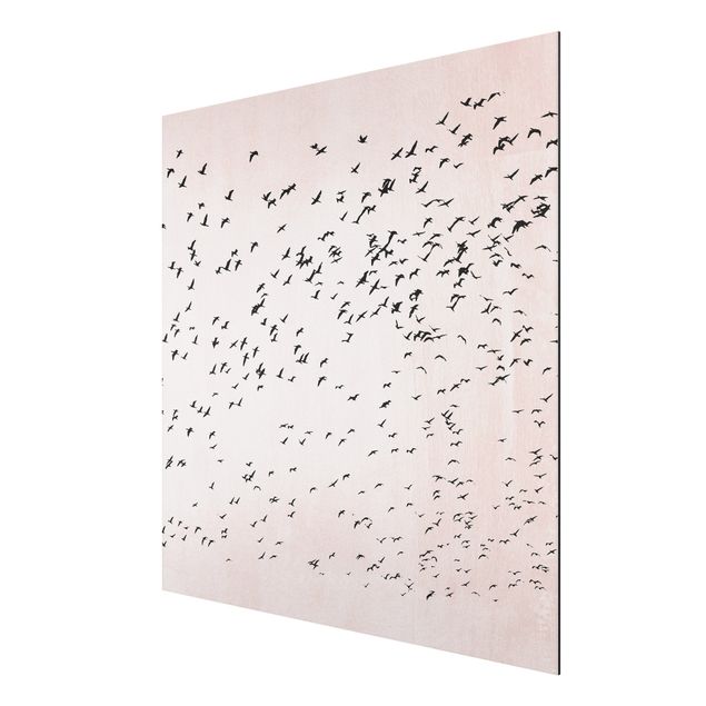 Wandbilder Kunstdrucke Vogelschwarm im Sonnenuntergang