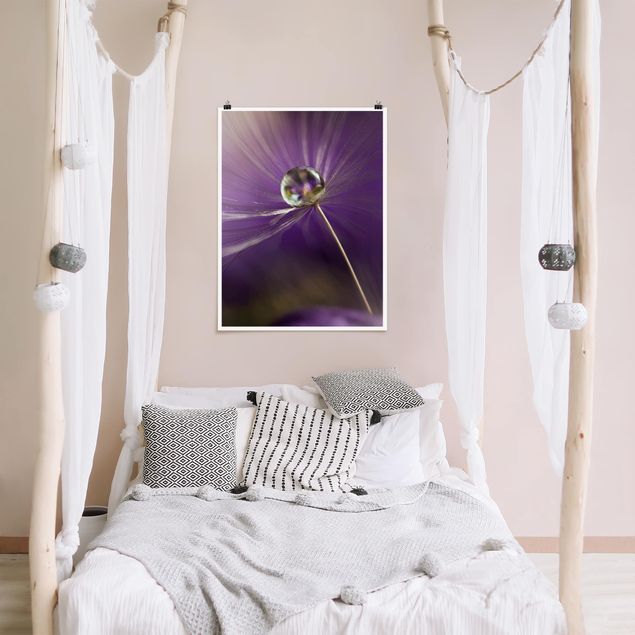 Poster mit Blumen Pusteblume in Violett