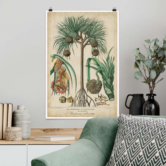 Küche Dekoration Vintage Lehrtafel Exotische palmen I
