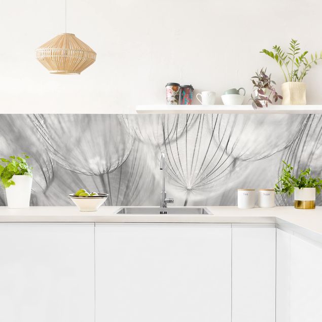 Küchenrückwand Folie Blumen Pusteblumen Makroaufnahme in schwarz weiß